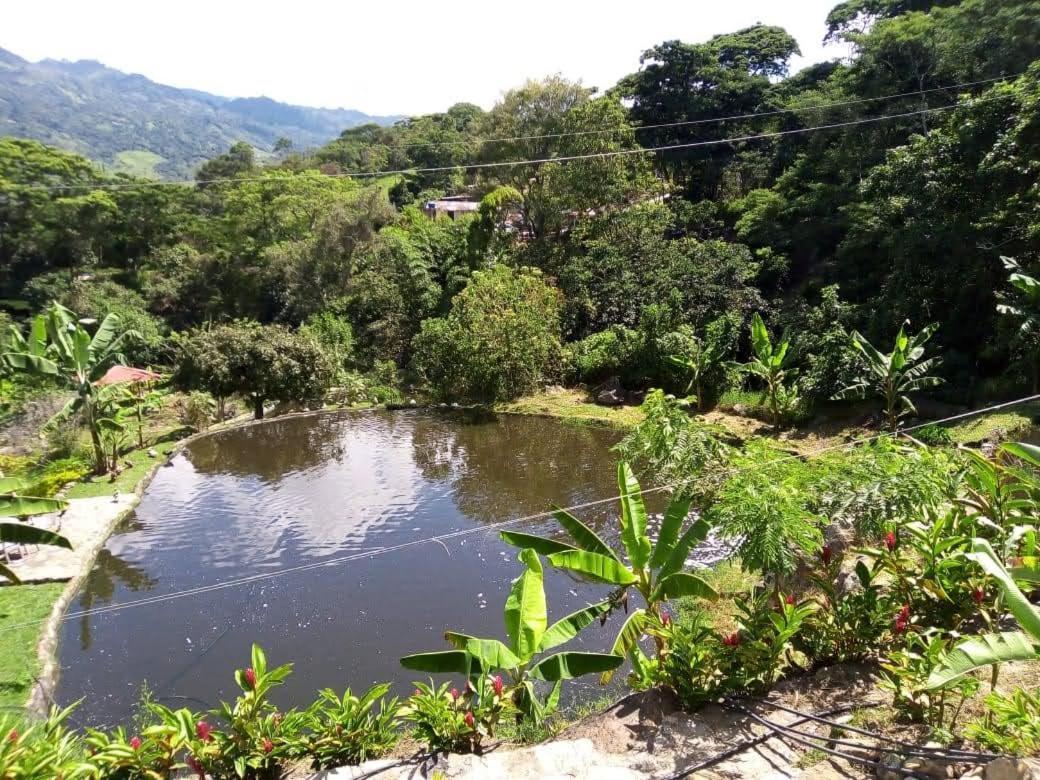 Finca Campestre Rancho Alegre Hotell Fusagasugá Exteriör bild