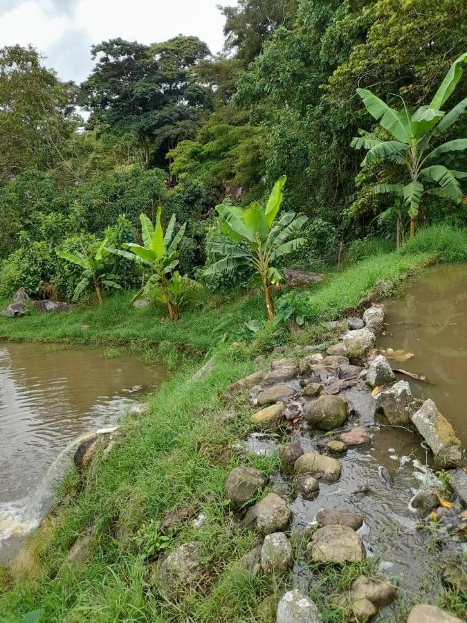 Finca Campestre Rancho Alegre Hotell Fusagasugá Exteriör bild